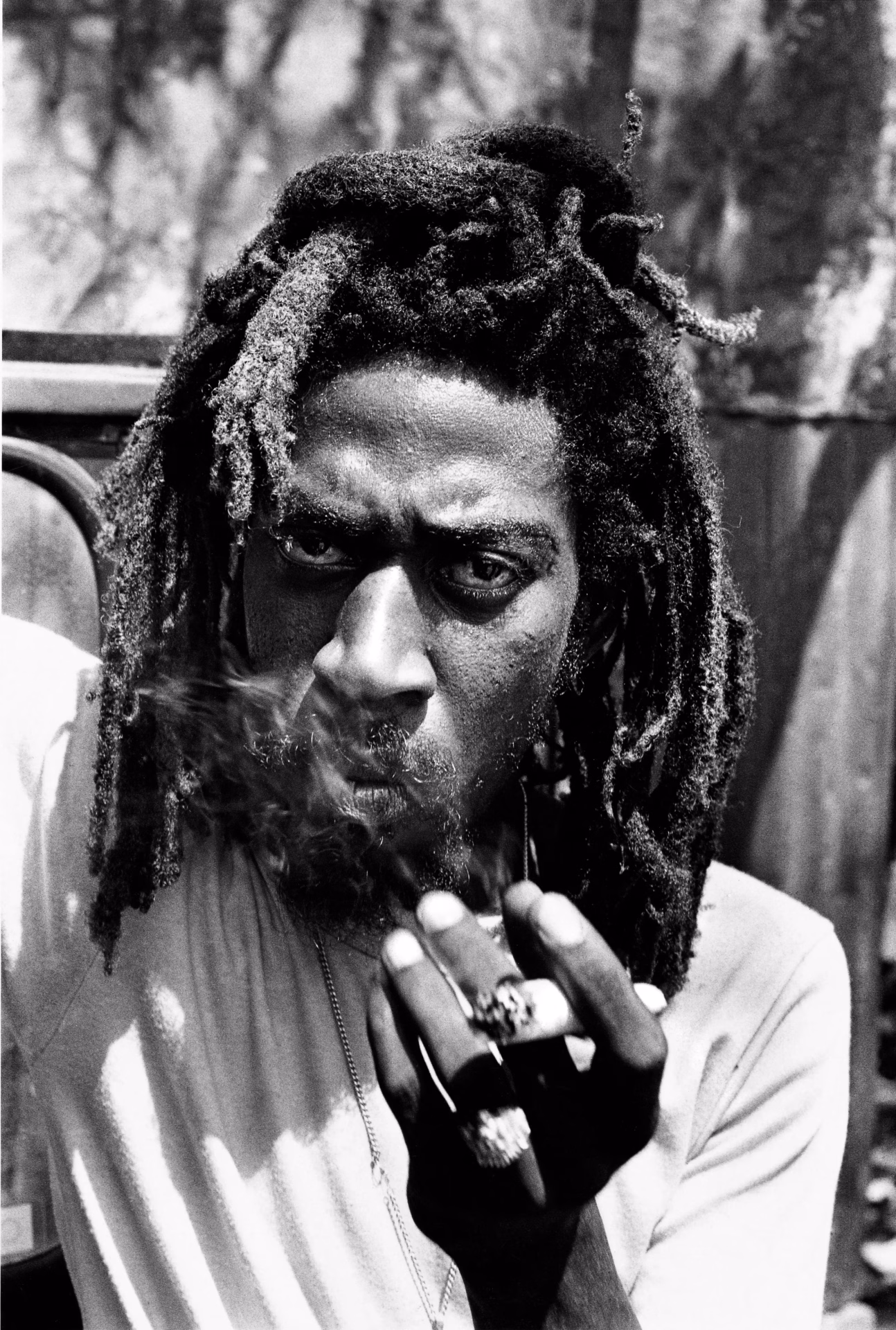 Rebel Music: Bob Marley & Roots Reggae Bunny Wailer