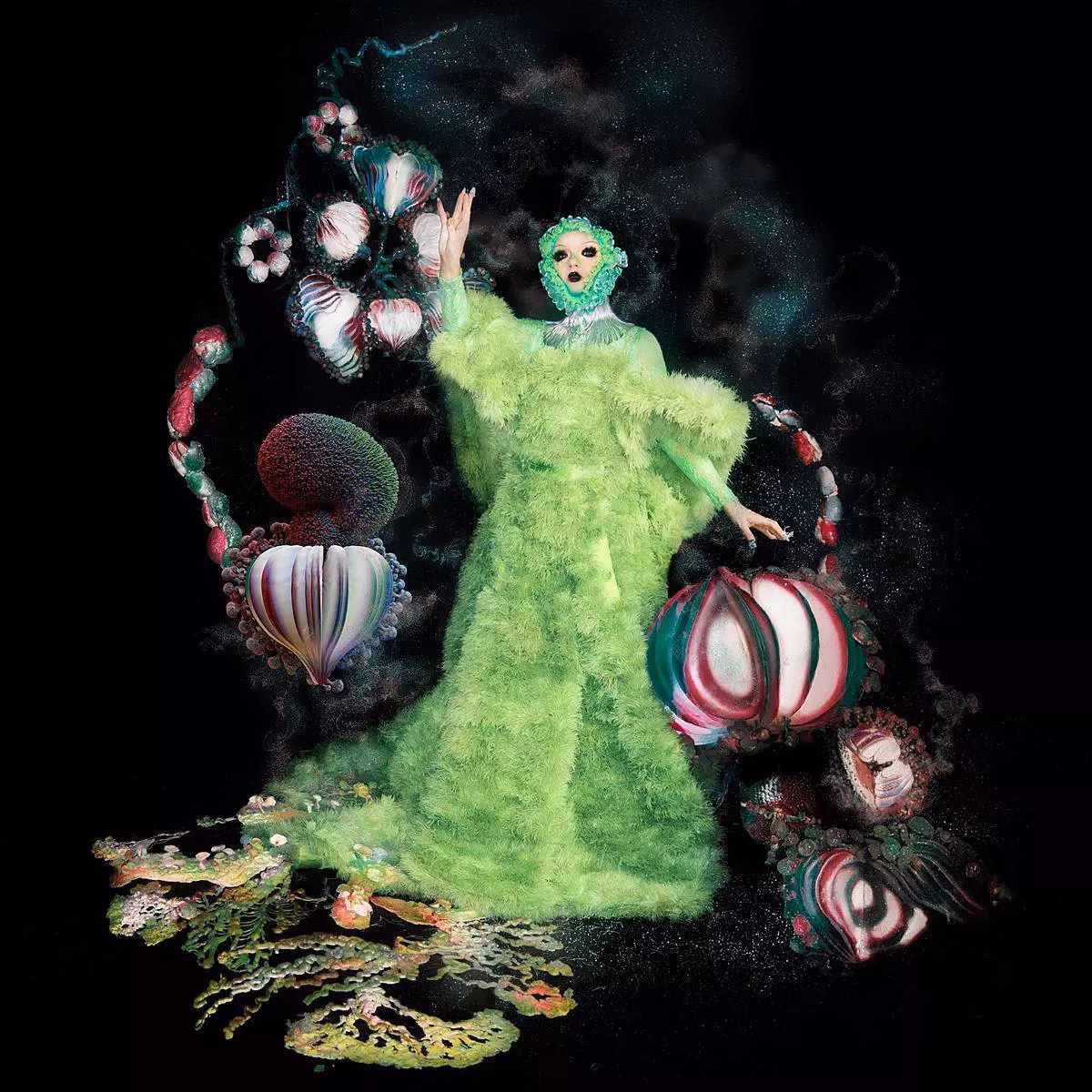 bjork net worth 2021 - Ilustrasi 2