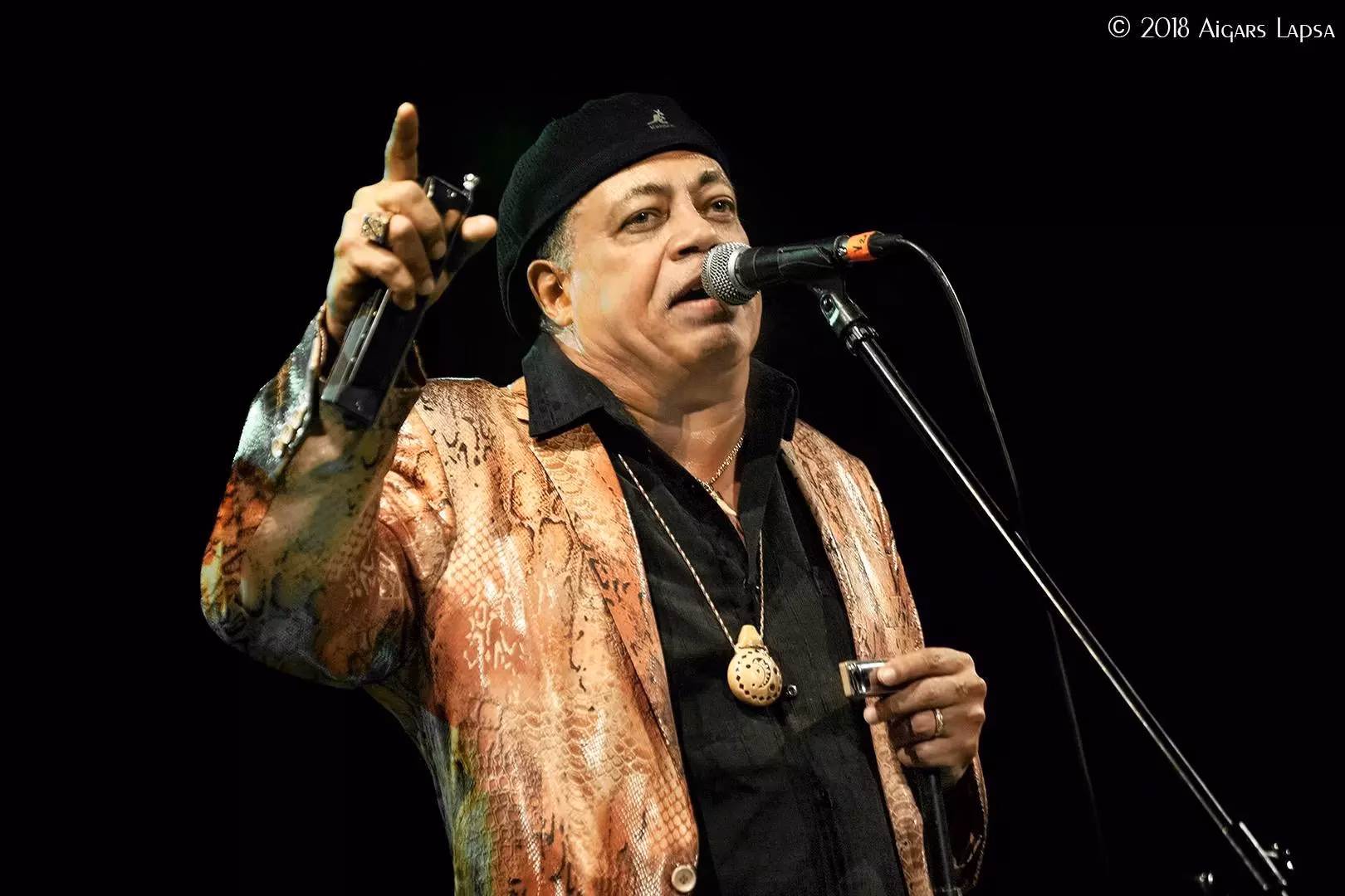 Histories: Chicago Blues: Billy Branch On How The Blues Is A Foundation Of American Music