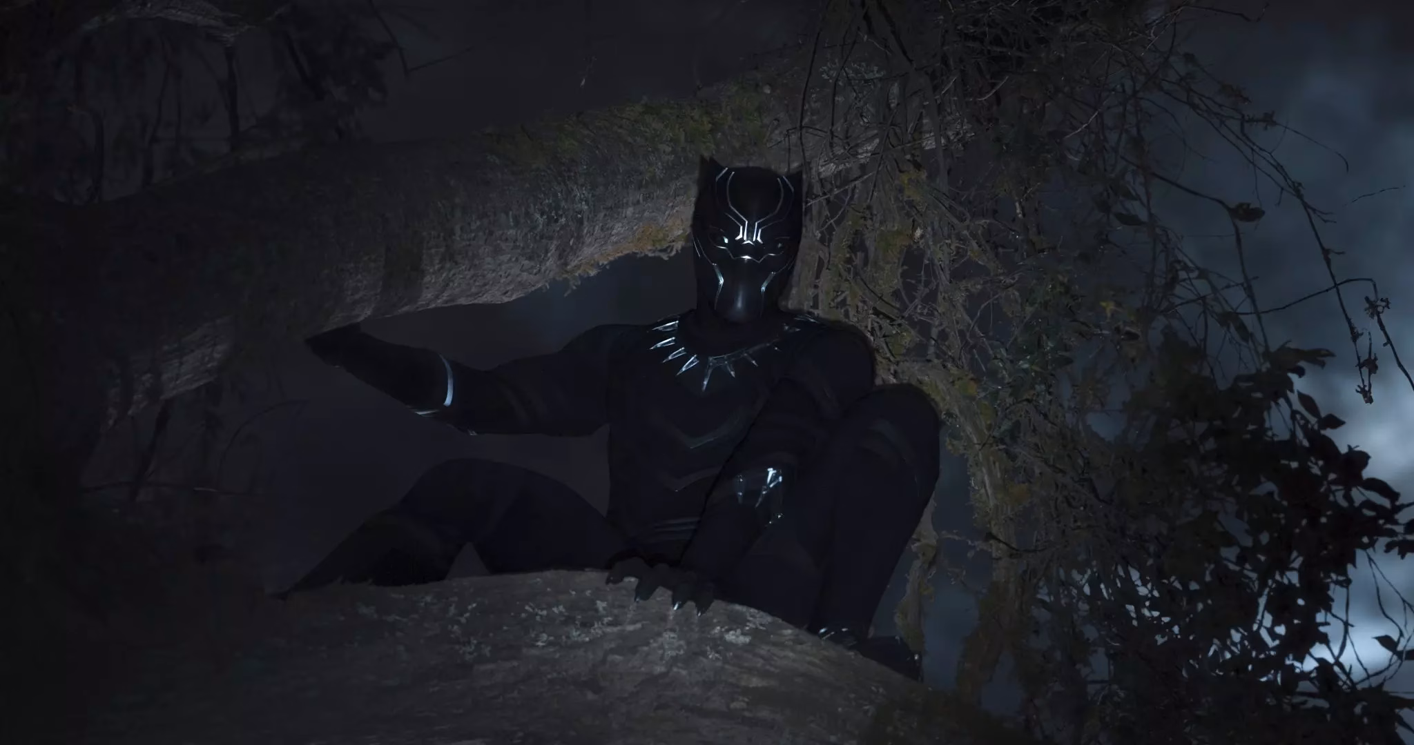 'Black Panther' the film