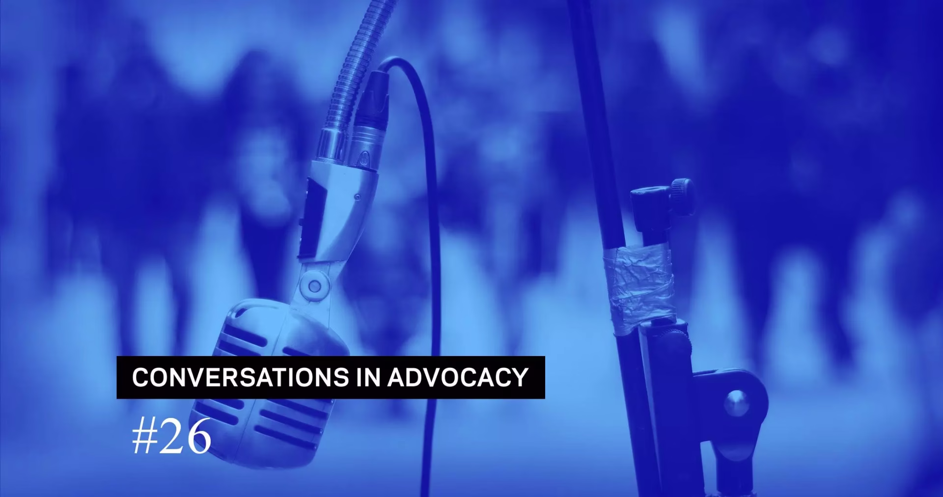 Local Activism Works: How Washington Area Musicians Cut Through The Noise