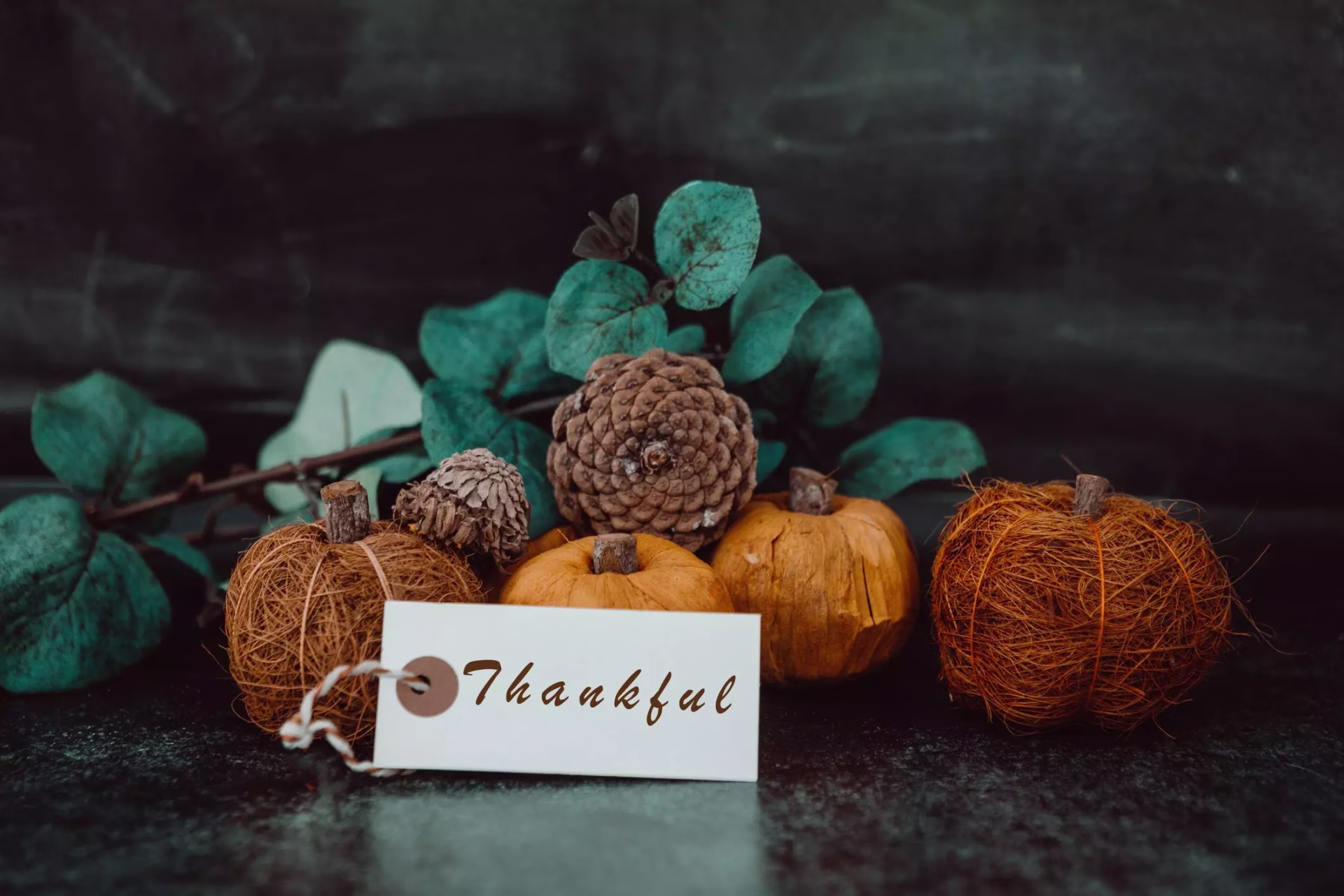 Sunshine On A Grain-y Day: 5 Things Creators Can Be Thankful For During This Difficult Thanksgiving