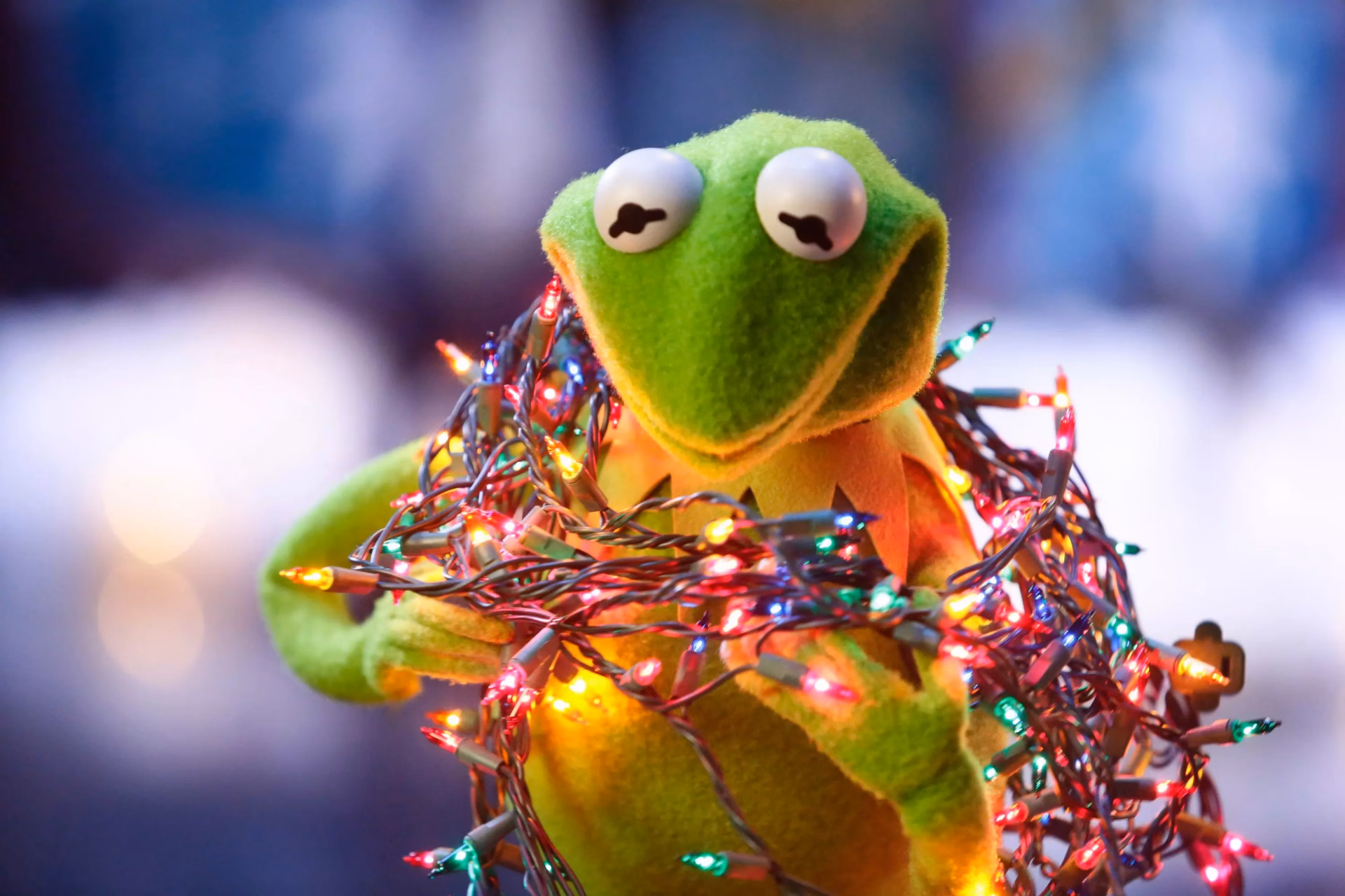 Kermit The Frog, 2015