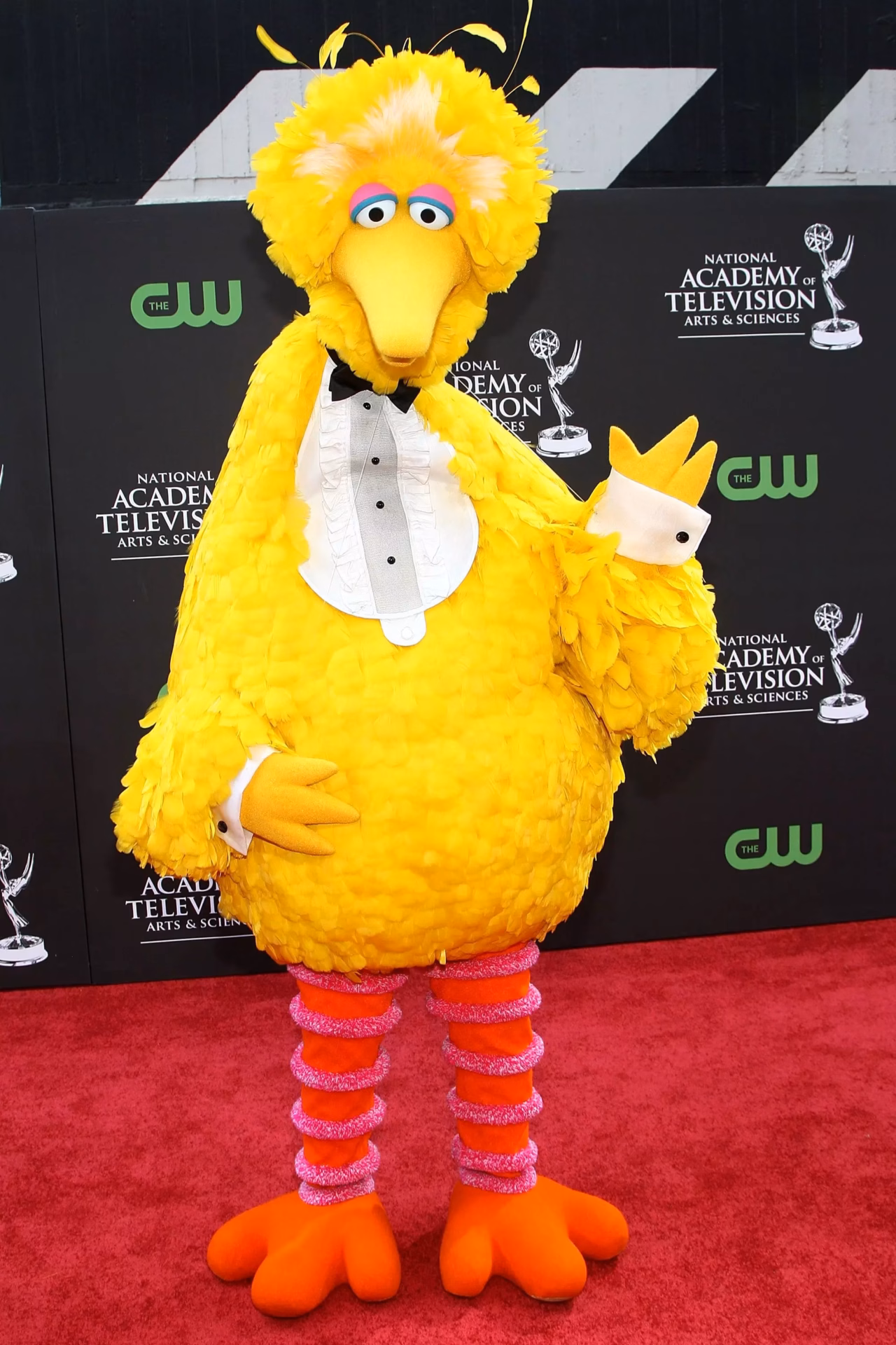 Big Bird