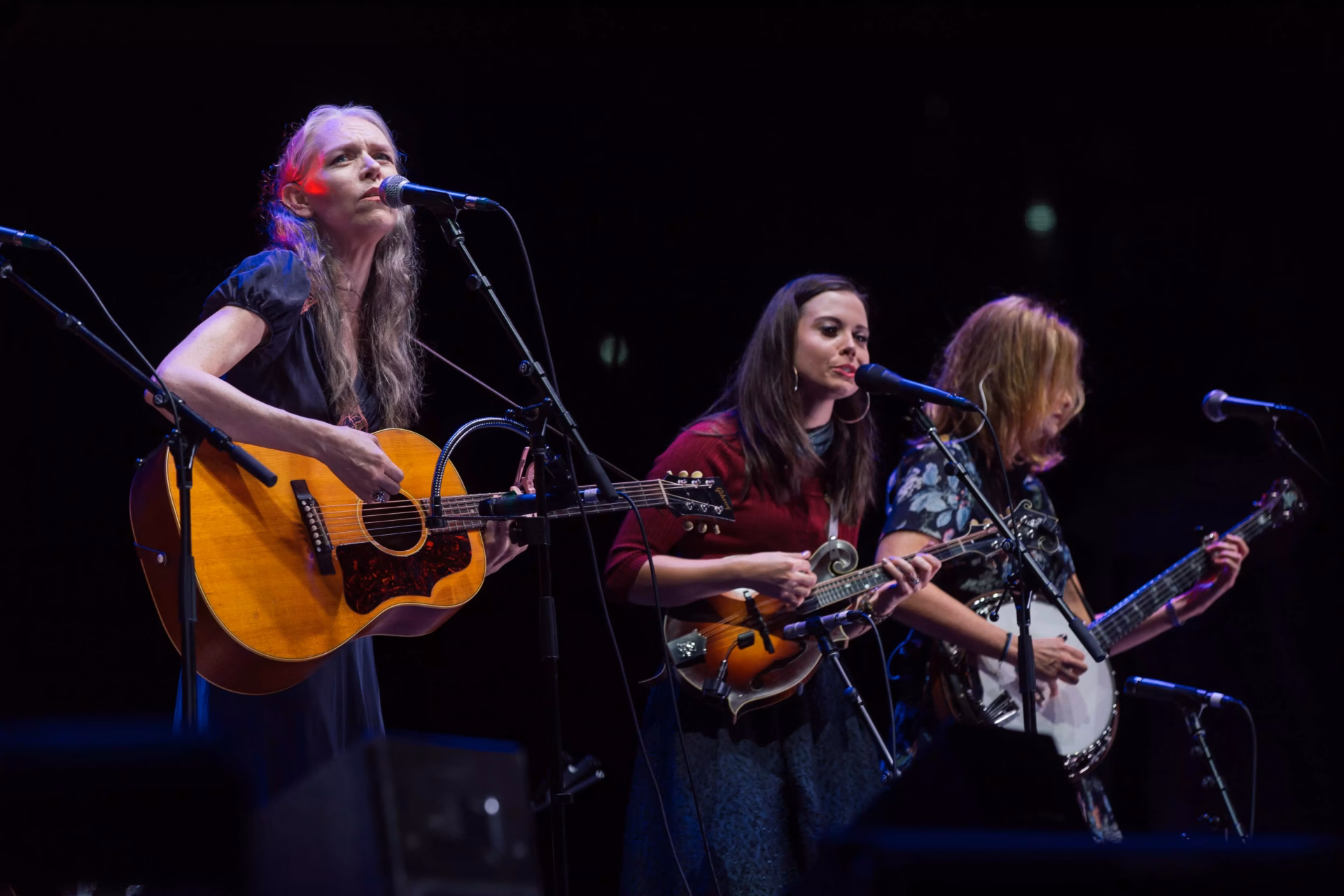 First Ladies Of Bluegrass