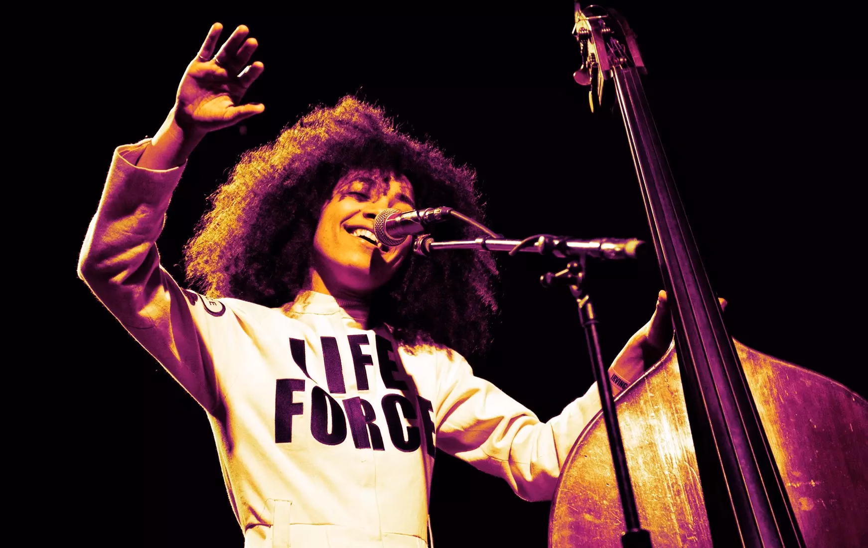 Esperanza Spalding