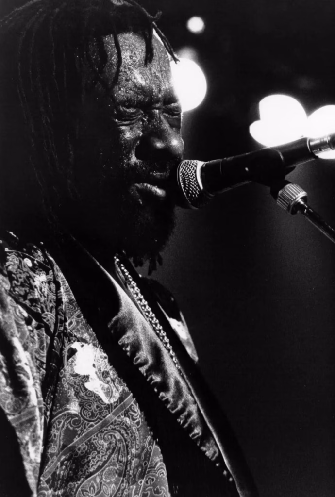 James Blood Ulmer