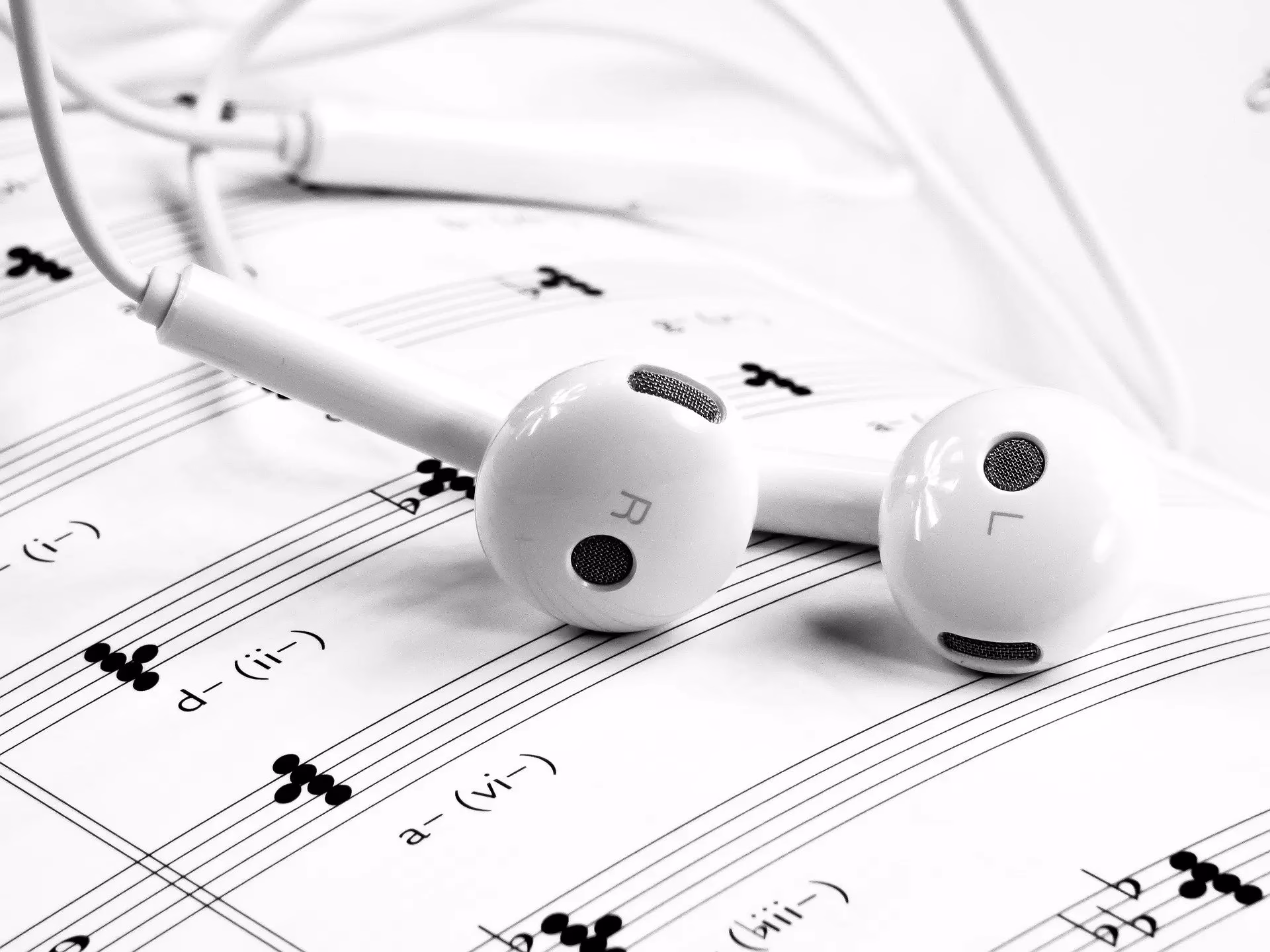 Universal language: Why humans need music