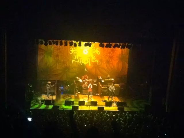 The Black Crowes perform at the Wiltern Theater on Nov. 23