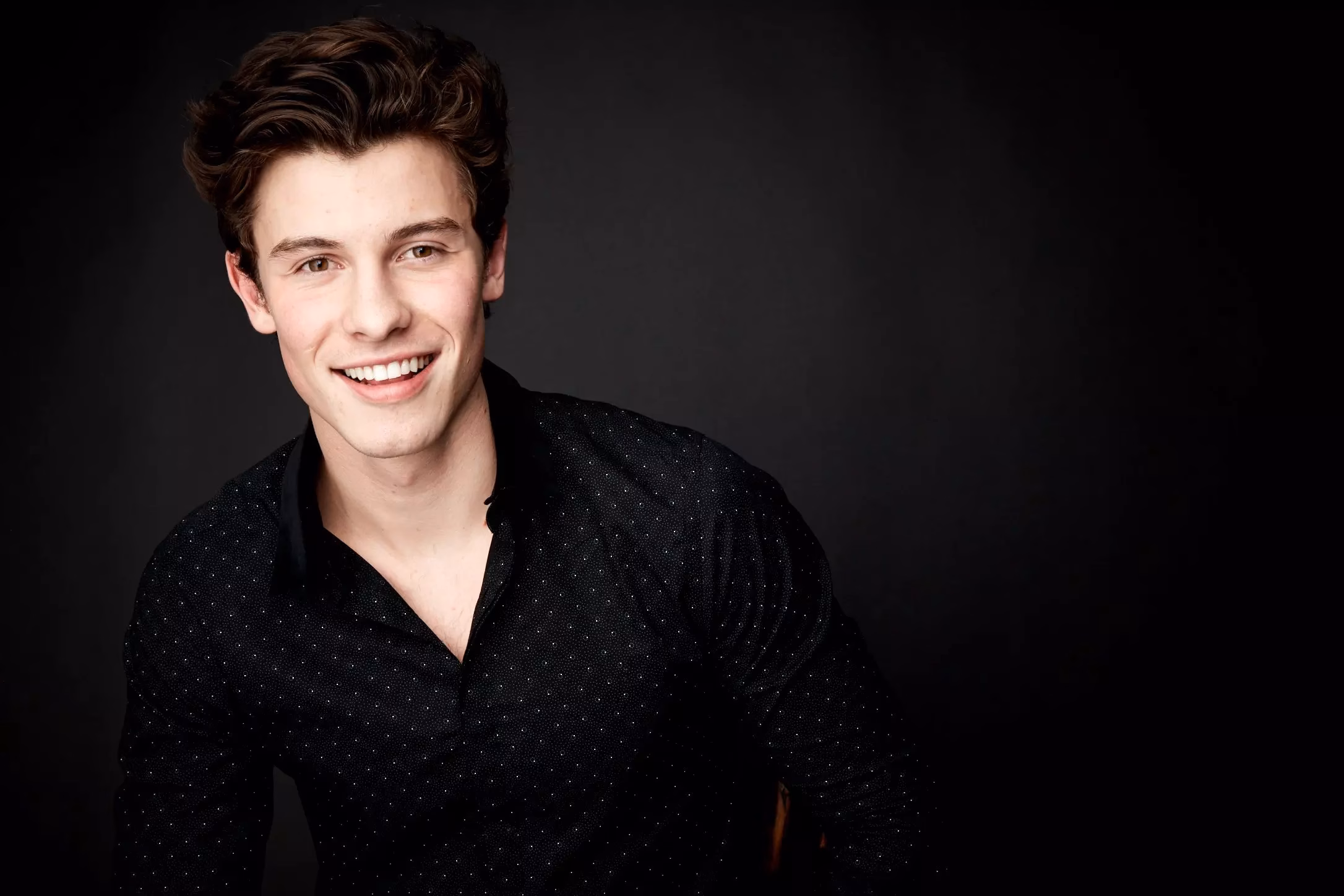 Shawn Mendes portrait