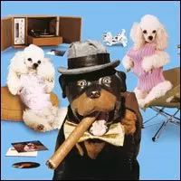 Triumph The Insult Comic Dog